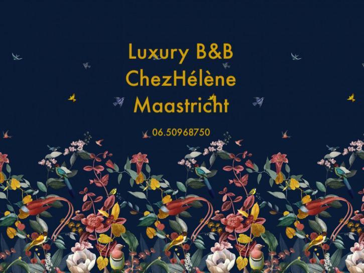 Chez Helene Luxury Bnb Maastricht Bagian luar foto
